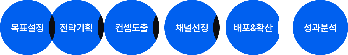 목표설정 전략기획 컨셉도출 채널선정 배포&확산 성과분석